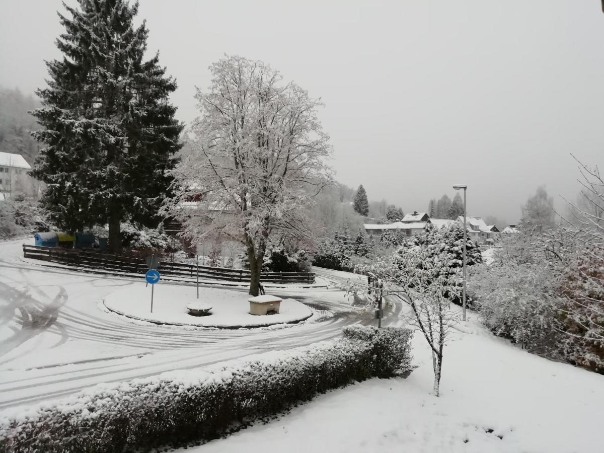 Schoene Aussicht Wieda Walkenried Bagian luar foto